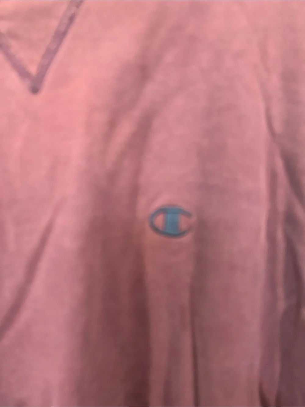 Champion Men's Crewneck Sweatshirt - Plum